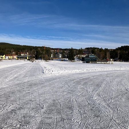 Apartment Marta Lipno nad Vltavou Dış mekan fotoğraf