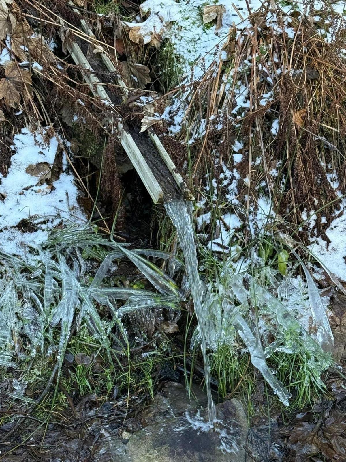 Apartment Marta Lipno nad Vltavou Dış mekan fotoğraf