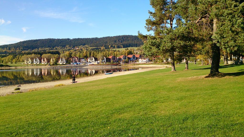 Apartment Marta Lipno nad Vltavou Dış mekan fotoğraf