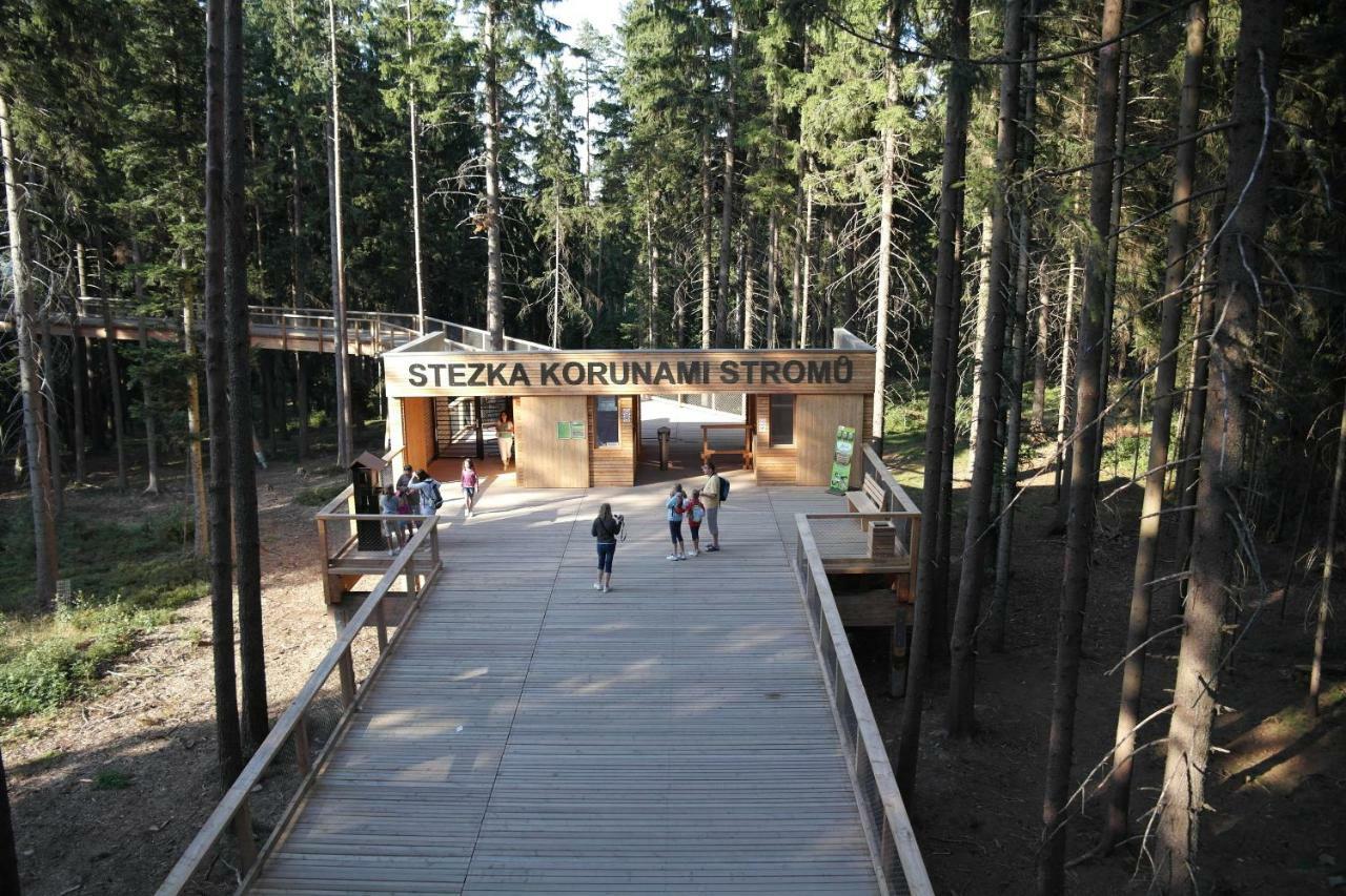 Apartment Marta Lipno nad Vltavou Dış mekan fotoğraf